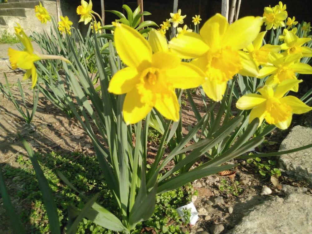 24 ����� ��� ������� � ������������ � ����������, ����������� ������������� � �������� ��������� �������� ���������� � ���� �������� �������� �������� � ���� ����� ����������