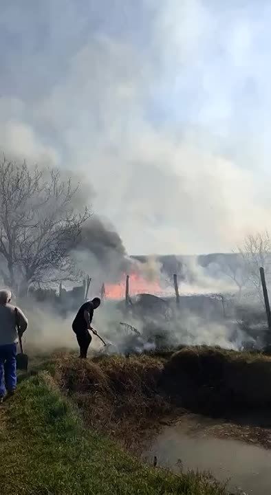 �� ������� ������, � ������ �����, ����� �����