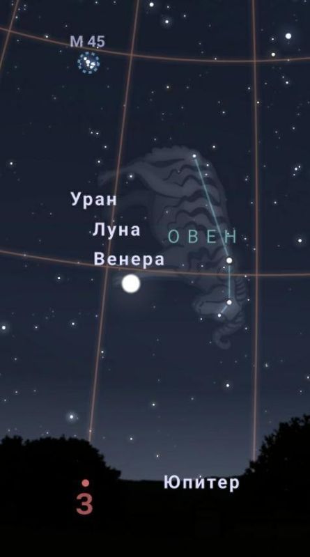 ����� � ������� ���� �������� ������