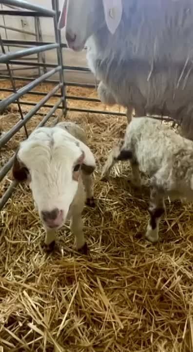 ��������� ���� � ��������� ������ ������� 3 ����: ����������, ���� ������ � ������ �������