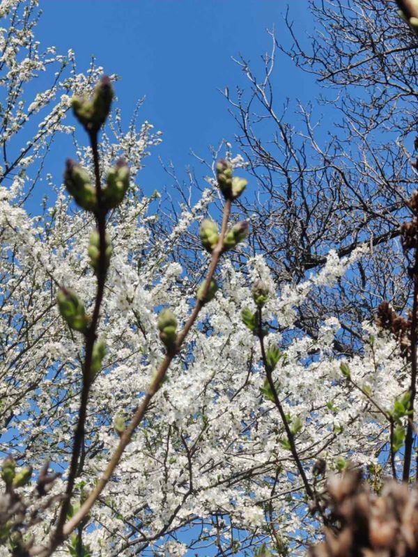 25 ����� ��������� ���������� ����������, ��� �������