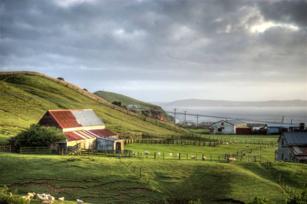 ��� ������� ����� � ��������� ����� � ����� ������