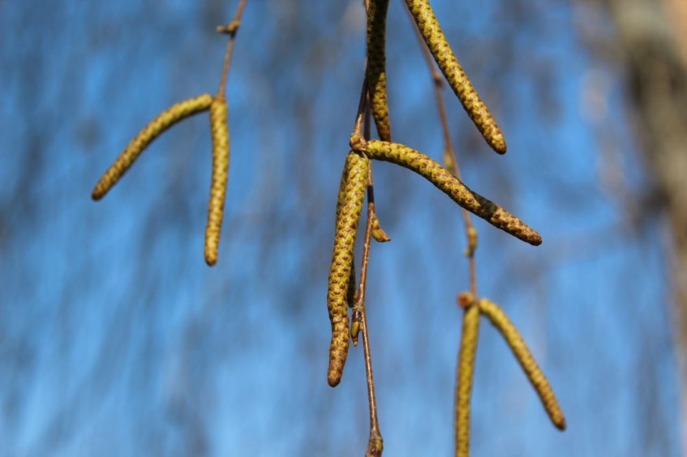 �������, 24 �����, ��������� ���������� ����������, ��� �������