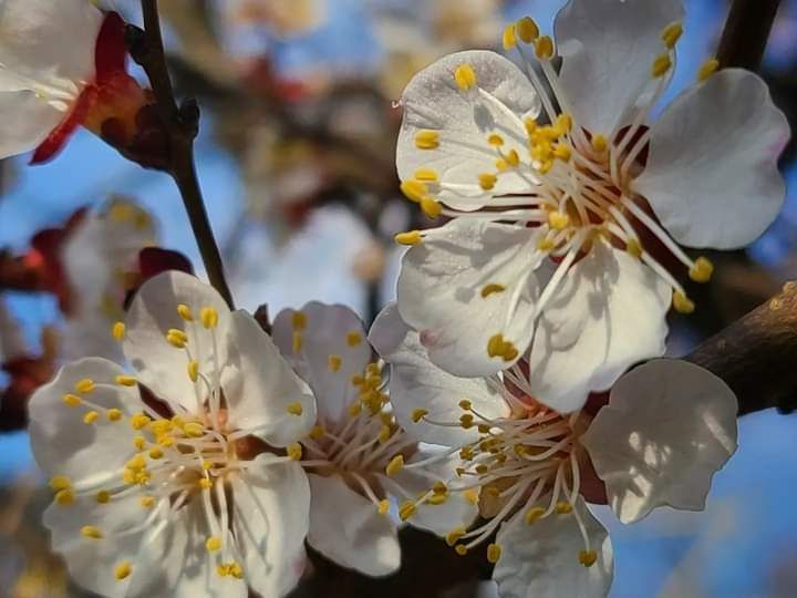 �����. ��������. ����.. ���� ��������� �����������