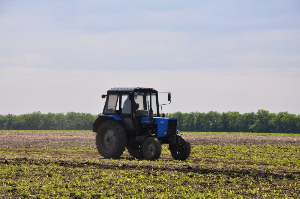 ������ ��� � ���������� �������� �� ������� 8,8 ���. ��