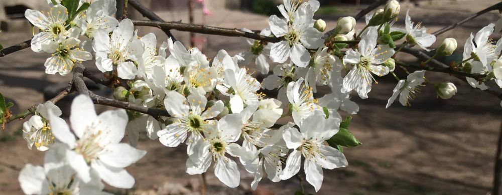 �����... ��� ����� � ���� �����