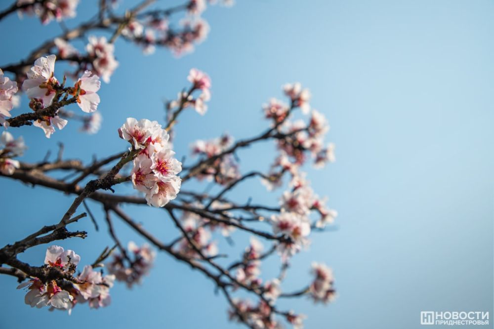 ��������� ����� ����� � ����������� ���� ������� ��� �� ��������� ������