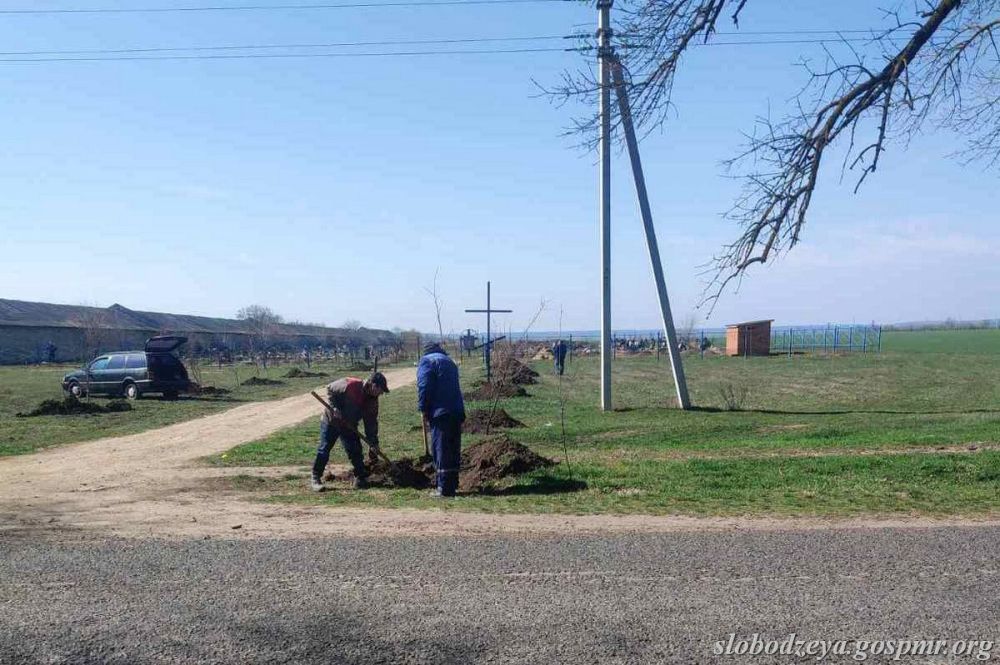 � ���� ������� ������� ���� ������� ���������