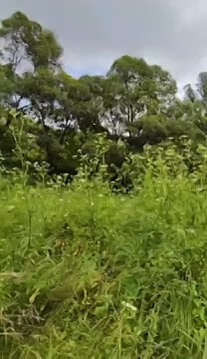 ��� ����� ����� �������� �� ����� � �� ������