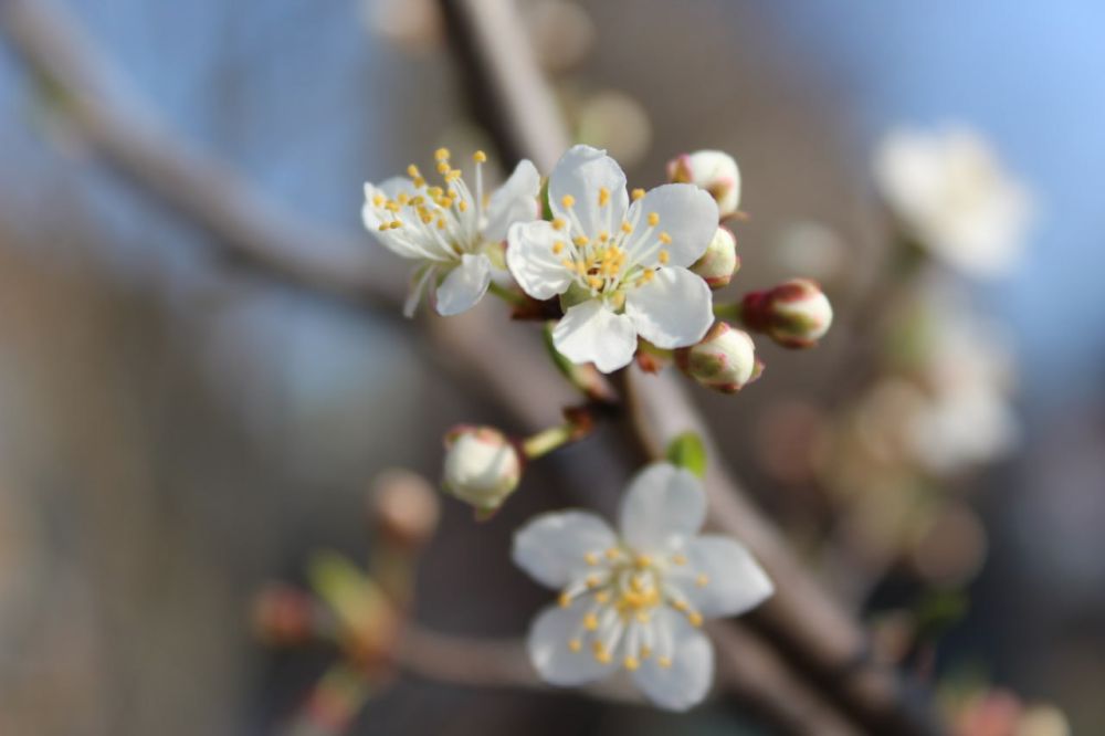 ��������������� ������� ������ �� 27 ����� - 2 ������