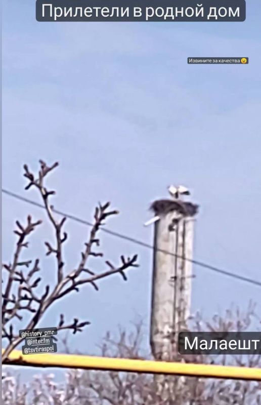 � ��� ����� � ���������, ��� ����� ������