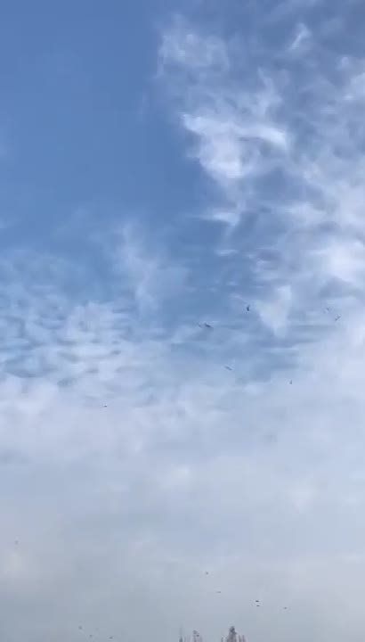 ����� ���������!. ��� ������ ����� ������ ������ ������� ���� ������. ���-�� ��� ����������. ������ ��� �����