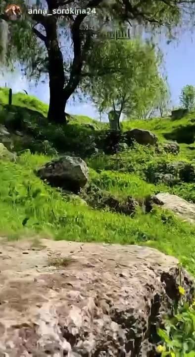 ���������� � ���������� ������� ����� ��� �������� �� ��� � ����������, ��� ����� �������