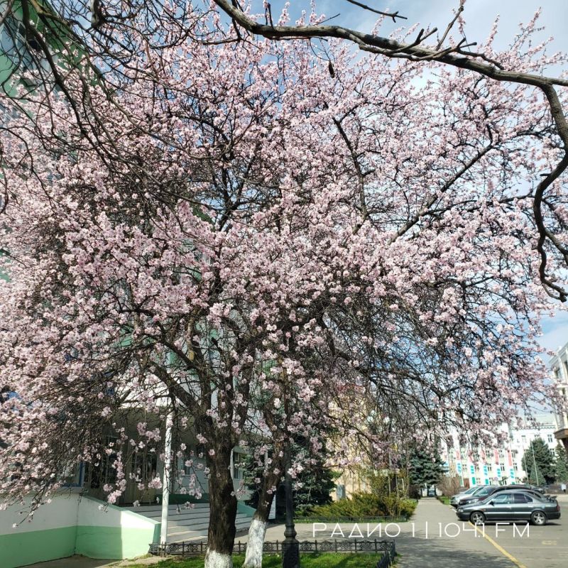 ������� ����� - ����� ������