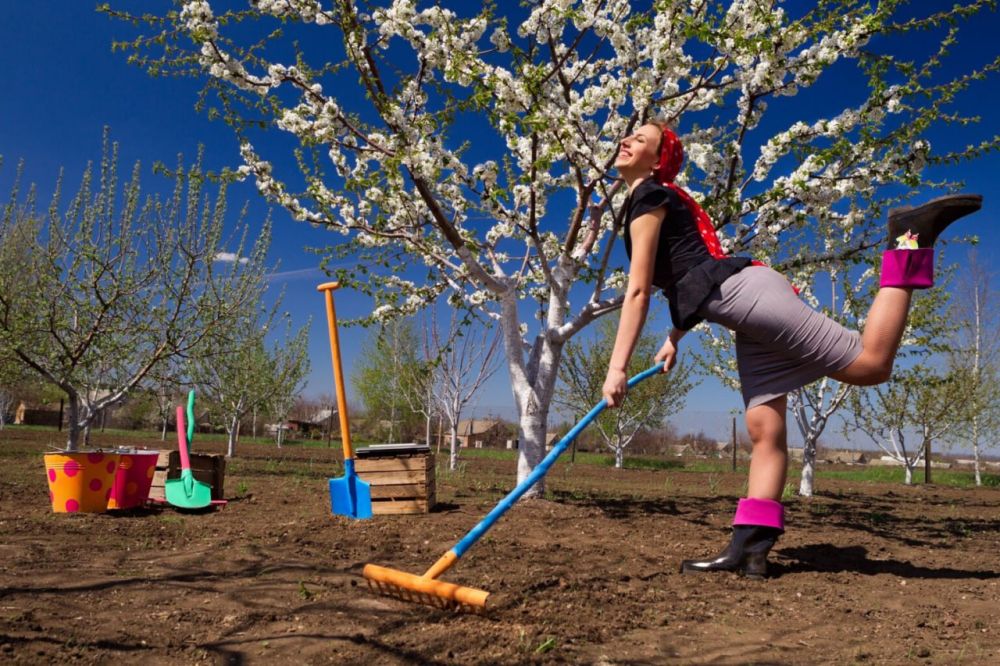 �� �������� ����� �� ���� ������� ������� ������