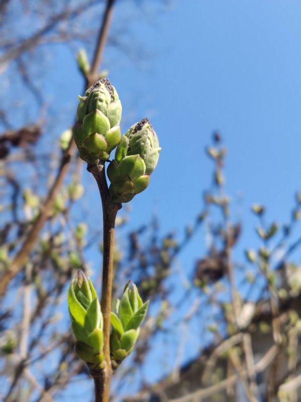 25 ����� ��� ������ �������, ������� ���������� ���� � ��������� ���� �� ���, ������� ���� �����