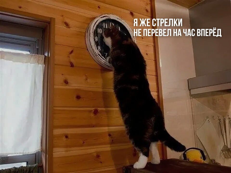 ������ 12:00. ������� ����