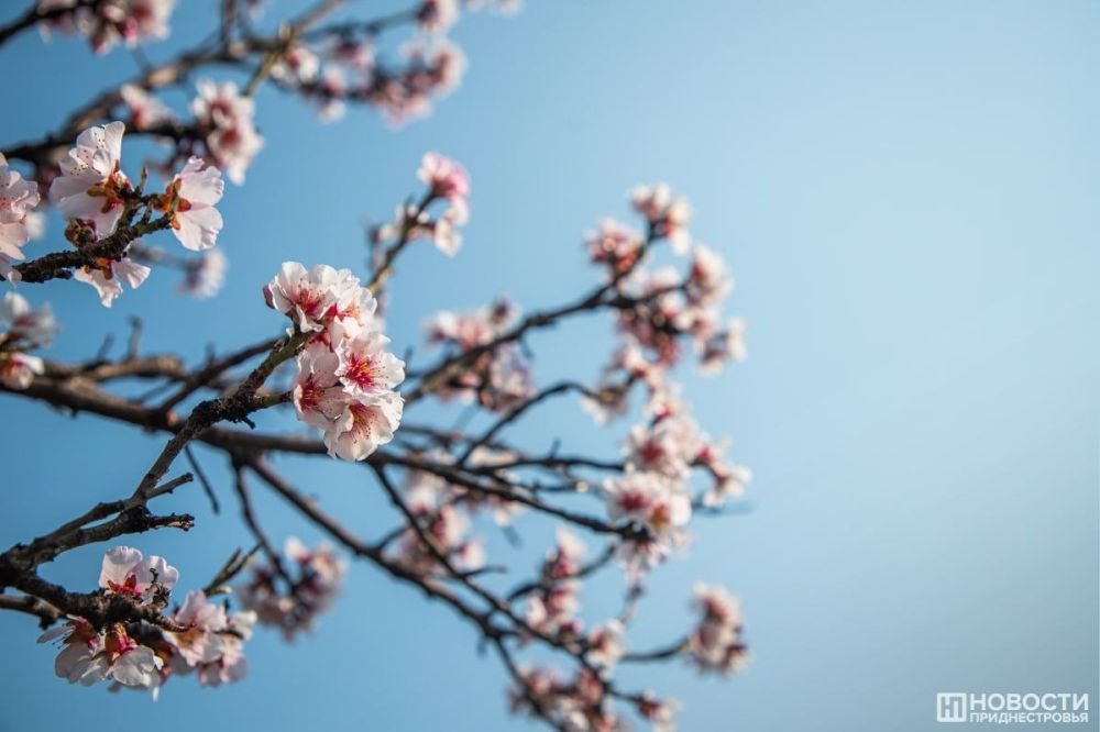 ��������� ����� ����� � ����������� ���� ������� ��� �� ��������� ������