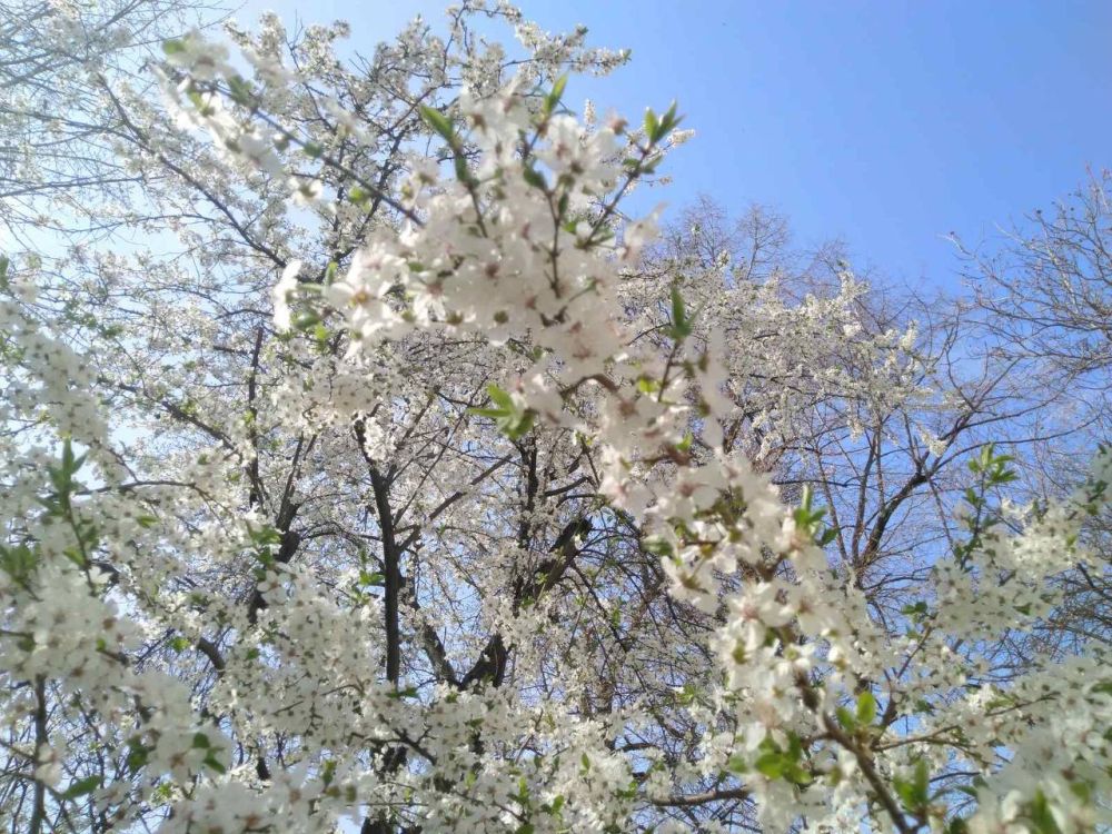 ������� ����� ������ � �����