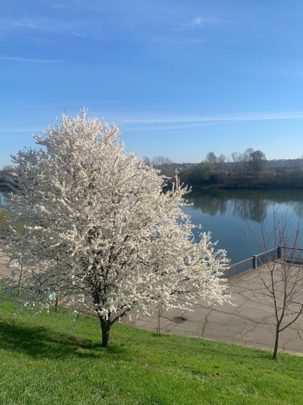 �� ���������� � �������� ����� �������� ������