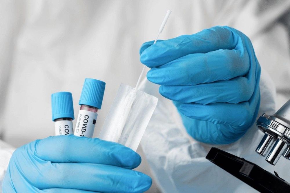 �� ������ ���������� ����, �� �������� ������ � ������ ���� �������� 44 ������ ��������� �������������