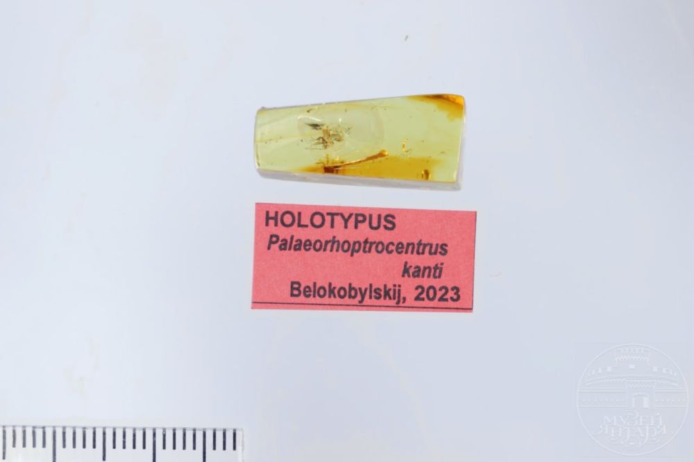 � ��������� ����� ������ ���������� ����� ����������� ���������