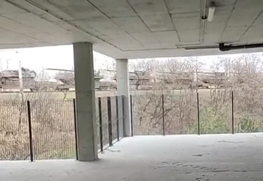 ������� ���� �� ������. ����� ��� ������������ ����������� �������� ������� ��� ������ 203-�� ��� "����", �������� ������ �� ������� ���������� �����