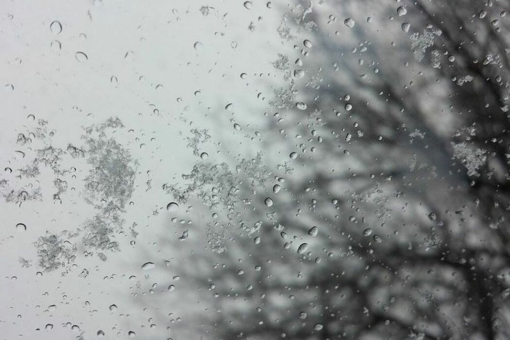 ��������, ��������� ��������������!