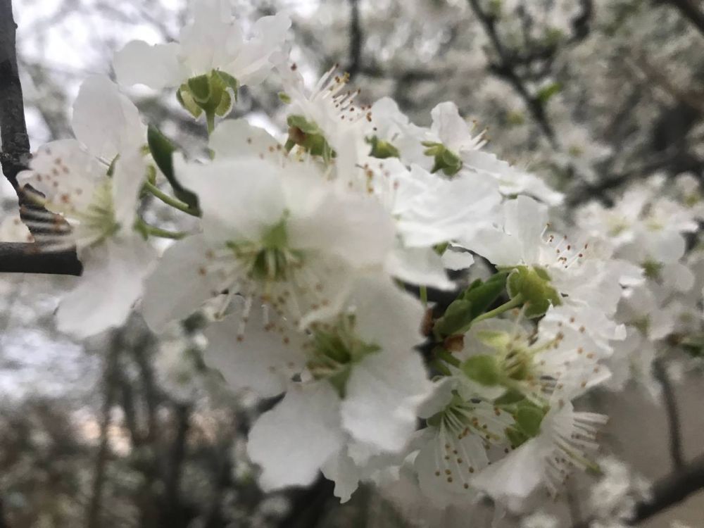 28 ����� ��������� �������� � ������������ ������