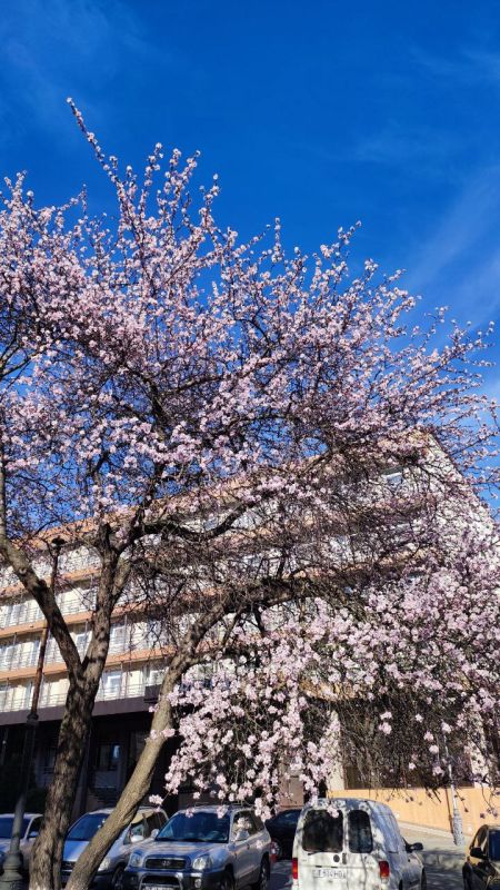 ����� ���������� ����� ���� �������� ����������� �������