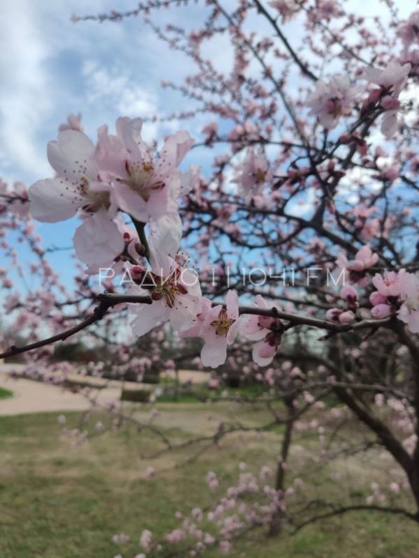 � ������� ���������� ������������ �������� ������