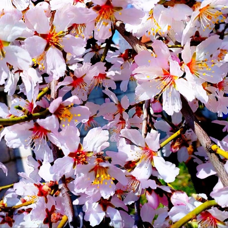 ������� ������ �� ���������������� ��������������