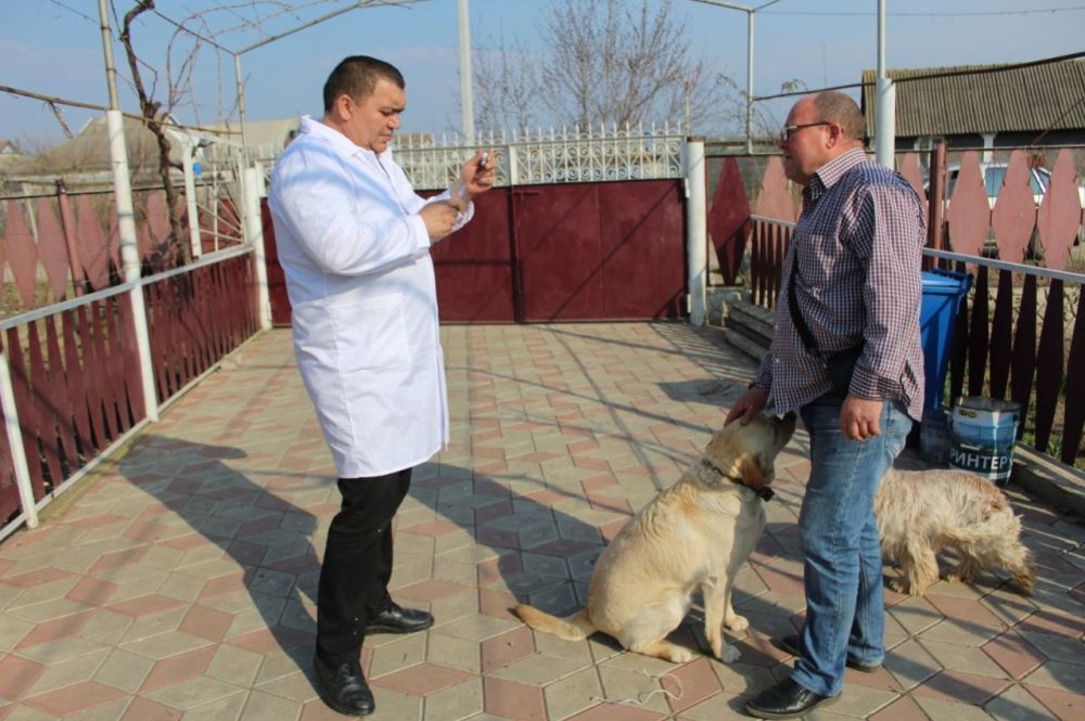 � ������������� ������ ��������� �������� �� ���������