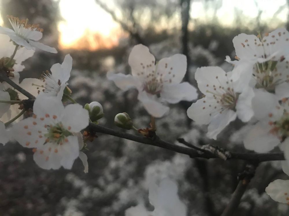 27 ����� ��� �������� ���� ������, � ������������� ��������� ���� ���������� �����, 79-�� ����� ������������ �������� ��� ���������� ������ � ����� ���� � ���������