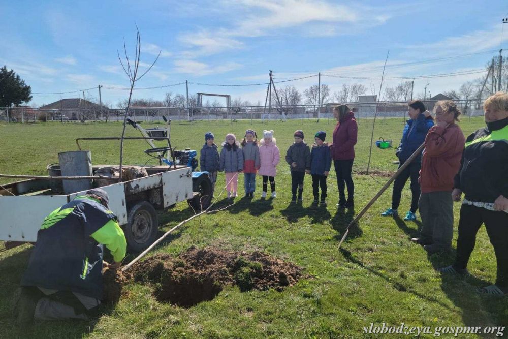 ��������� ������������� ���� ������ ������� ��������� ���������� �������� �����