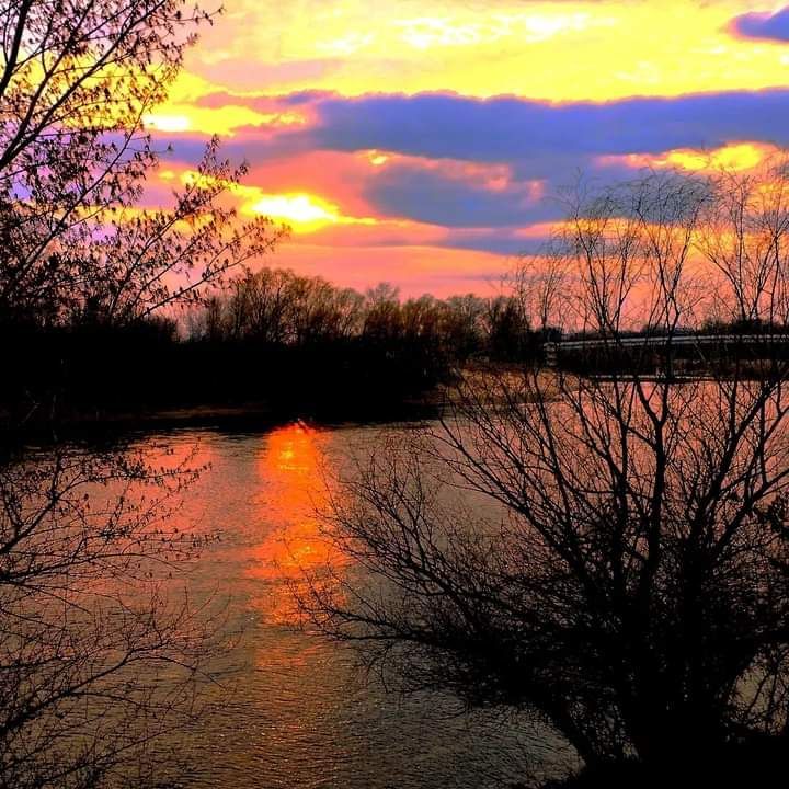 ����. ���������.. ���� ������� ���������