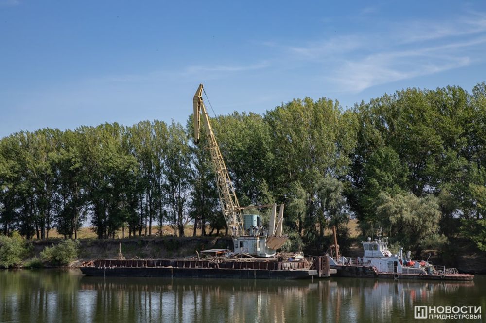 ���������� ������ ���� ������ ������ �������� �������