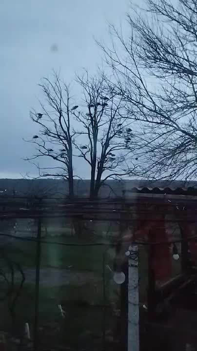 �� ����� ������ ��������, � ��� �������� � ��������� ��������� �����