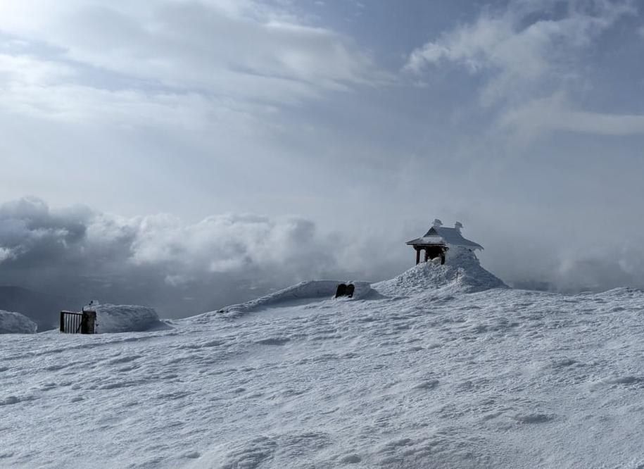 ��� �������� � ���������� �������� -14 �������� � ����