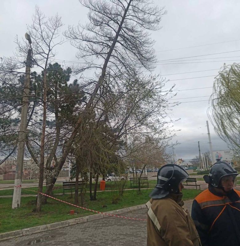 ������ ���������� ��������� ������� �� ����� ����������������