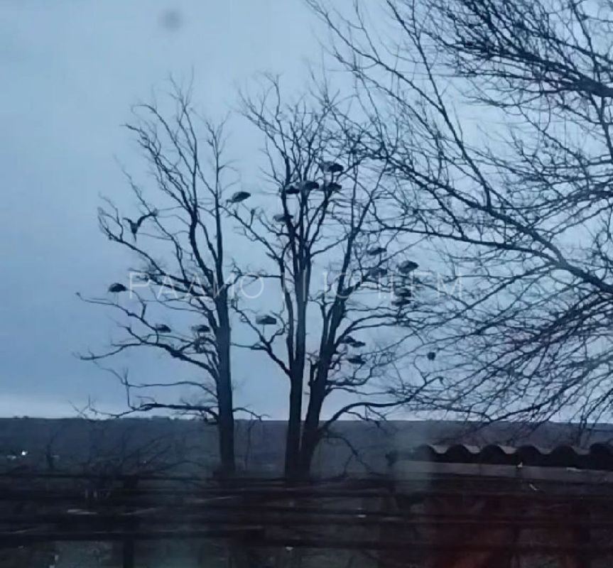 � ���������� ��������� �����