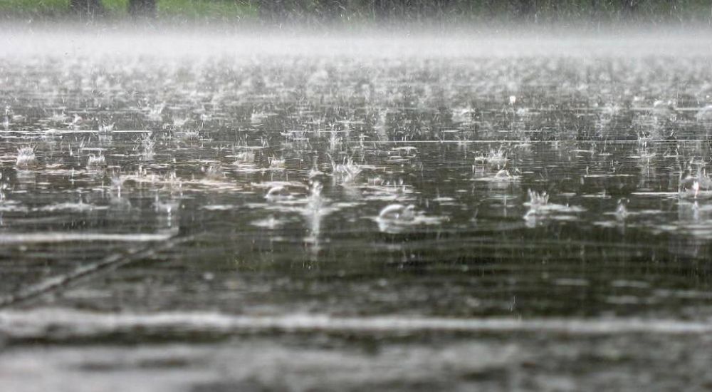 ������� ����� �� ��������� ������