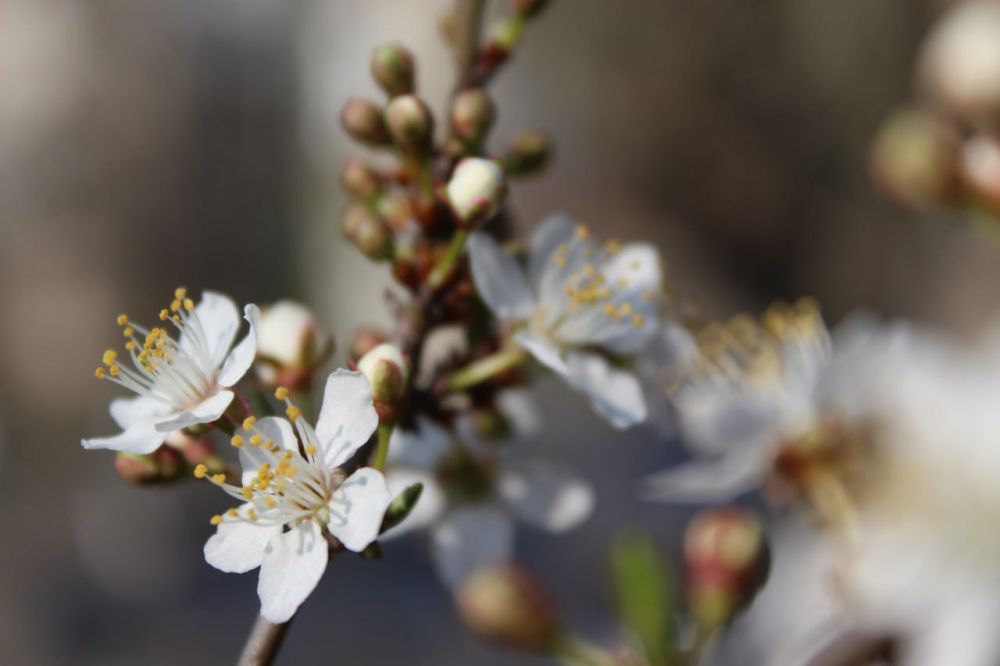 ������� ������ �� ���������������� ��������������