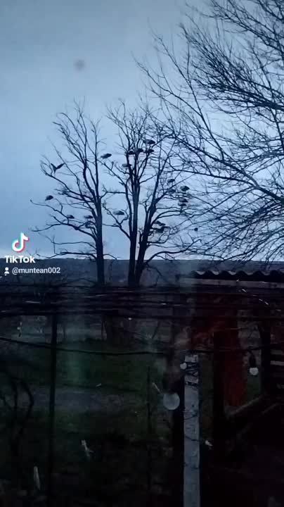 �������� ������ � ����������