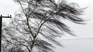 � �������� ����� �������������� ����� ����� ������