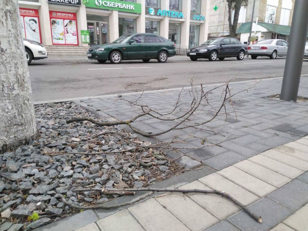 �� ��������� ����� �� ������� ��������