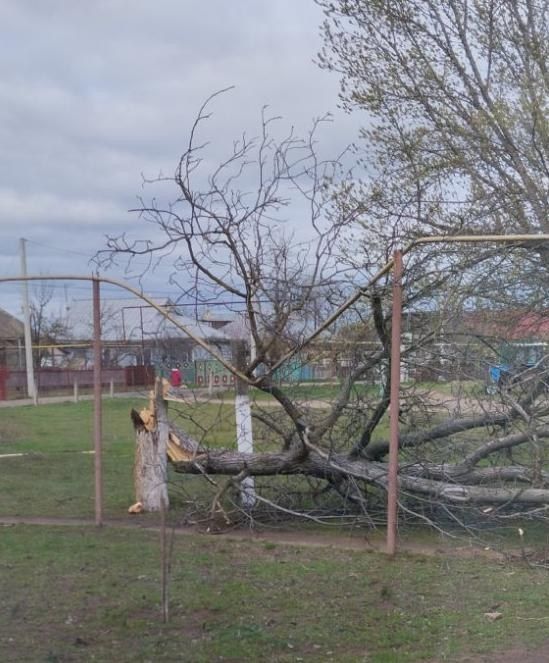 ���� ������� �������� ���������� � ��������