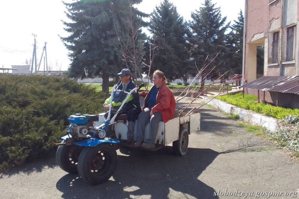 ��������� ����������� � ������ ������ ������� ������� � ����� ��������� �������