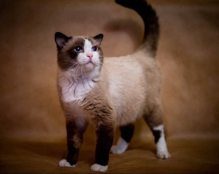 ���� ����� ������ ��� � ������