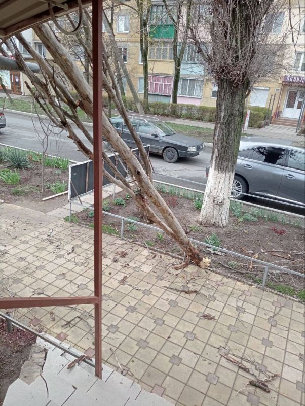 ������� �������� ��� ������� ������ � ���������